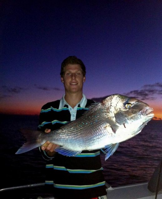 Last nights Snapper